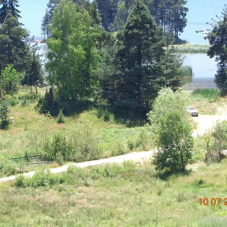 Family Panorama